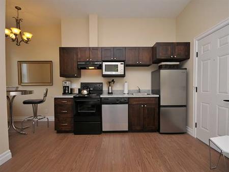 Pet Friendly All Inclusive Furnished Studio Suite