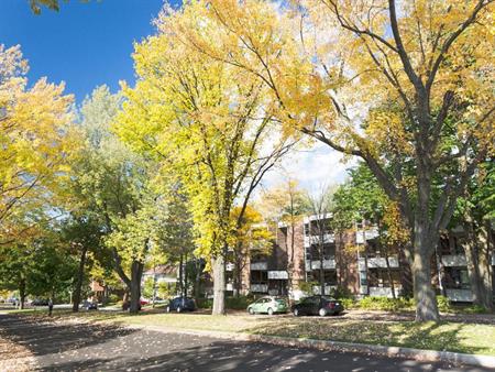 3 1/2 Ste-Foy - Tout inclus - près du cégep Garneau - avril