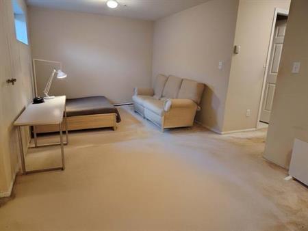 Furnished studio basement suite with private access and utilities incl