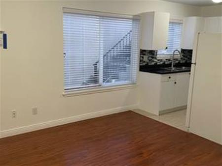 1 Bedroom Basement in Surrey