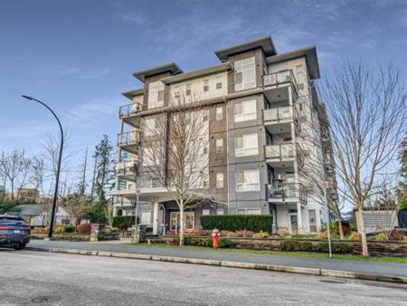 Maple Ridge 1 bed Apt for rent