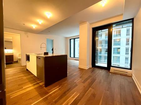 Downtown - Superb 3 1/2 Condo For Rent