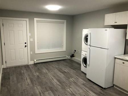 2 Bed 1 Bath Cloverdale Basement Suite