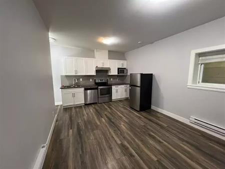 2 Bedroom Basement Suite in Fraser Heights, Surrey. | 10605 160 Street, Surrey