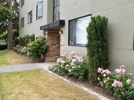 2 Bed/1 Bath Large Updated Suite in Kerrisdale - 1 cat ok