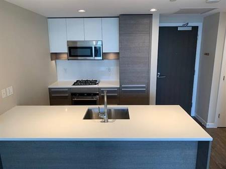 1 BD+den 1Bath @ ALTUS SOLO DISTRICT available Feb 1st .