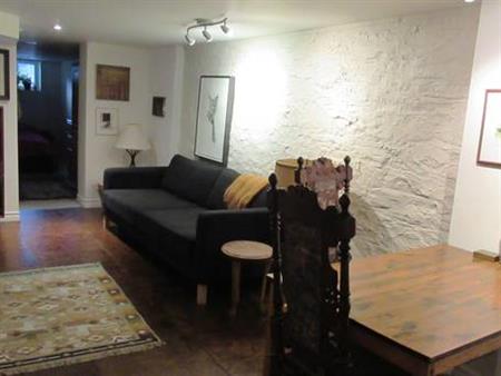 Very nice basement apartment 60 second walk to Trinity Bellwoods