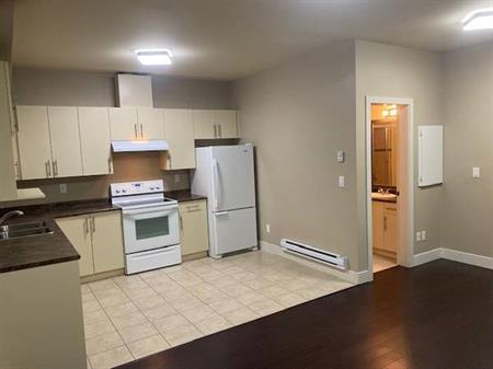 2 bedroom 1 bathroom for rent $1750 / month