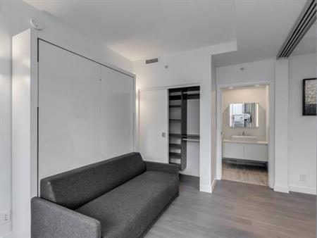 Available February 1st - Pet Allowed Furnished 1 Bedroom @ 1480 Howe