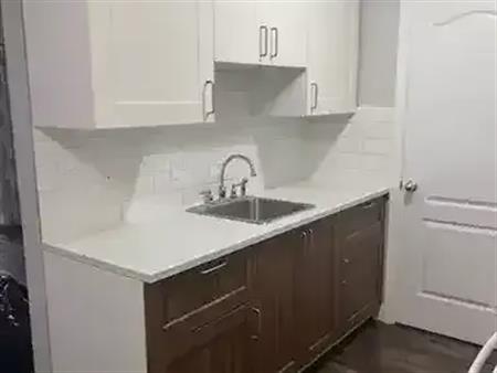 1 Block from LRT Fantastic 1 Bdr Available - FULLY RENOVATED! | 11821 105 Street Northwest, Edmonton