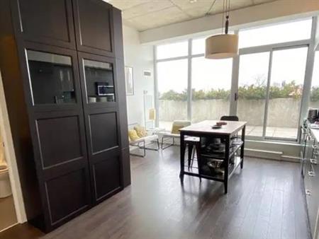 1 Bedroom Penthouse Loft with Den, Private Rooftop Patio and Parking