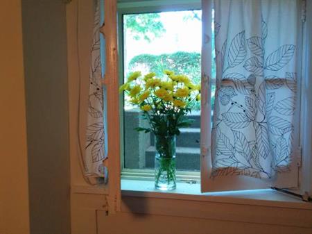 Cheerful one-bedroom basement apartment