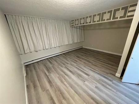 Large Studio for rent