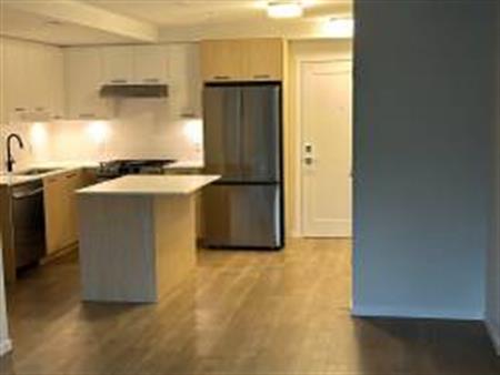 1bedroom brand new condo