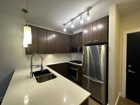 Spacious 1Bed 1 Bath by Douglas College