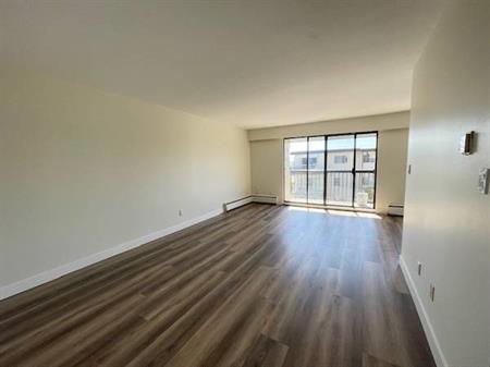 Newly Renovated 2nd Floor Apartment White Rock