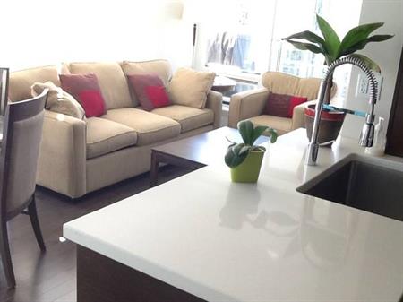 Fully furnished 2 bedroom 2 bathroom &Den apartment