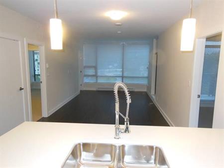 Spacious 2 BD 2 Bath avail. Feb 1st @ The Residences