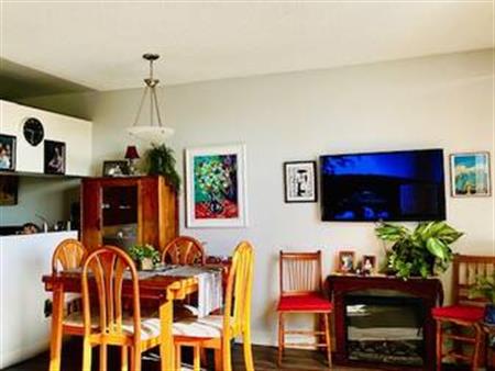 Great size Bachelor apartment East/South facing Oceanside