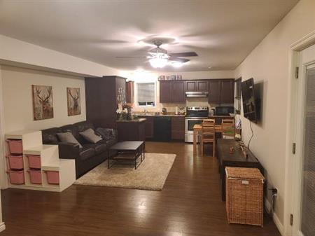 **Bright, Spacious and Quiet, 2BDR Ground Level Suite**