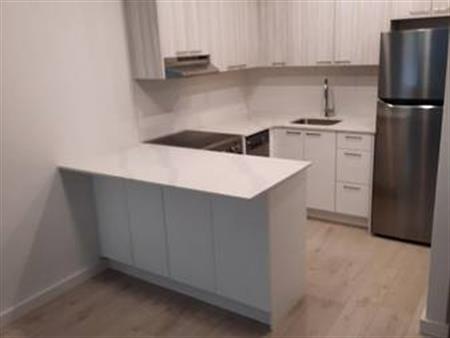 1 Br Suite near English Bay and Stanley Park