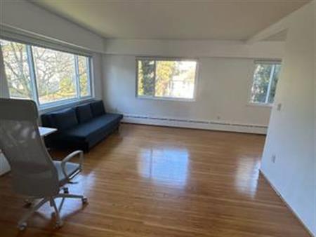 Extra large one bedroom hardwood renovated