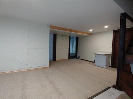 One bedroom basement suite for rent