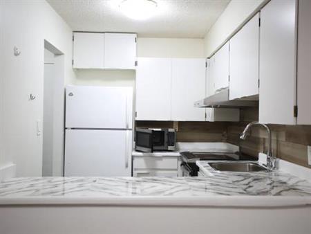 Spacious & Convenient 2 Bed & 1 Bath Apartment in Surrey