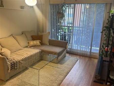 Very nice one bedroom suite in a popular neighbourhood