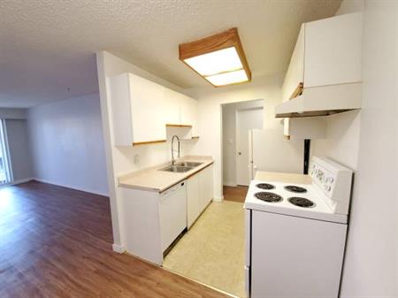 New Westminster 1 BEDROOM - large, 2nd floor - available February 1