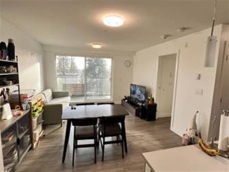 2br - No rent during January, furnished apartment