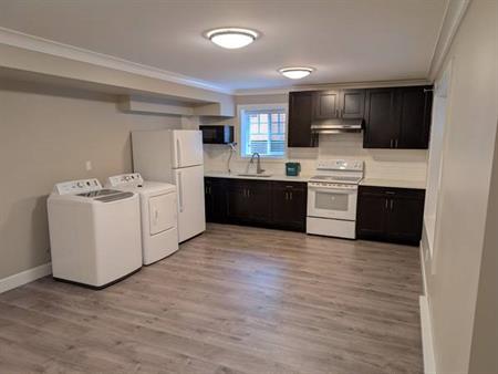 1 bd - 550 sq ft - Ocean Park Basement