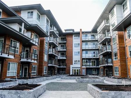 1 BED + 1 BATH + 1 PARKING IN MAPLE RIDGE