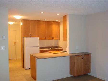 Studio - FEB 1-January-STUDIO near VGH, Canada Line, Sea wall