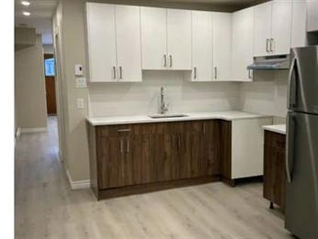 Newly renovated big 3 1/2 condo for rent - APPLIANCES INCLUDED