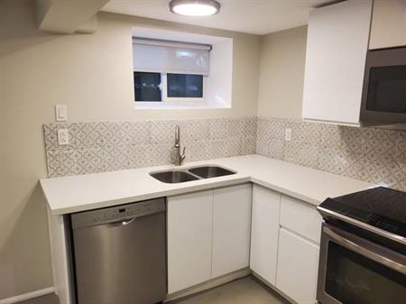 Modern Queen St W 1 Bedroom Basement Apartment