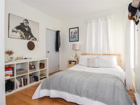 1 bedroom - newly renovated apt in Dufferin Grove