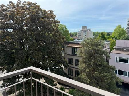 Brand New Renovated Large One Bedroom (Vancouver)