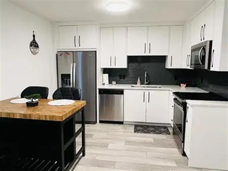 Beautifully furnished 1bed and 1bath basement suite.1 | Calgary