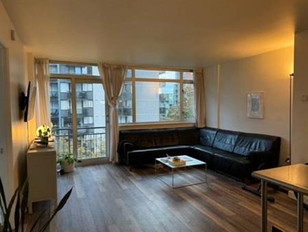 Renovated One Bedroom near Stanley Park.