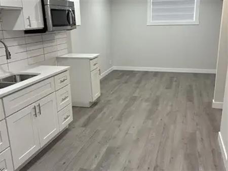 Mayland Heights Basement For Rent | Calgary