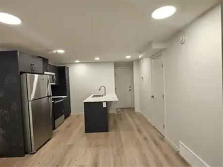 Beautiful newly built Keswick 1 bedroom basement for rent | 7334 Klapstein Crescent Southwest, Edmonton