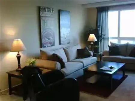 2 Bed 2 Bath Executive Furnished Rental | 1007 - 8710 Horton Rd SW, Calgary