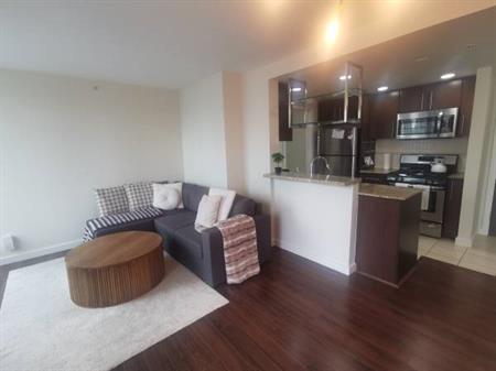 Yaletown Furnished 1 Bed, 1 Bath with City Views and 5-Star Amenities