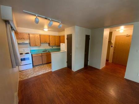 Marpole Studio for Rent !!!