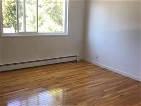 Lovely, clean, bright 1 Bedroom