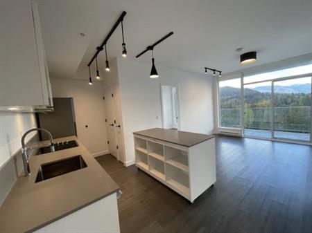 2 Beds, 1 Bath in Beautiful Burquitlam - Live at The U