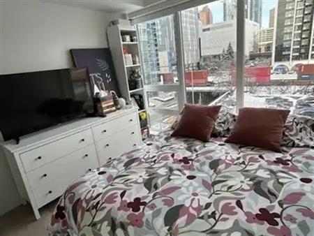 Roommate wanted in cozy downtown apartment! | 201 10 Avenue Southeast, Calgary