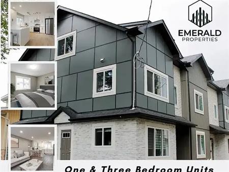 Urban Oasis: Modern 1-Bed Basement Suite in Prime Edmonton Location! | 10219 146 Street Northwest, Edmonton