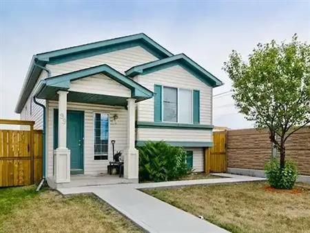 2 Bedrooms Newly Renovated Basement Unit | 99 Martinvalley Place Northeast, Calgary